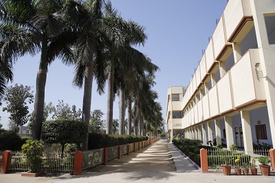 College View